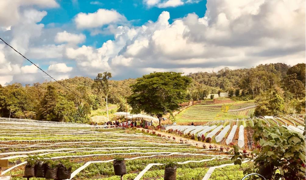 Japanese occupation Davao Occidental 