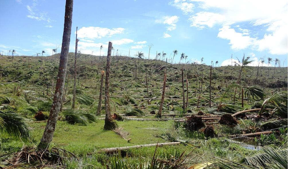 Davao Occidental''s urban development history 