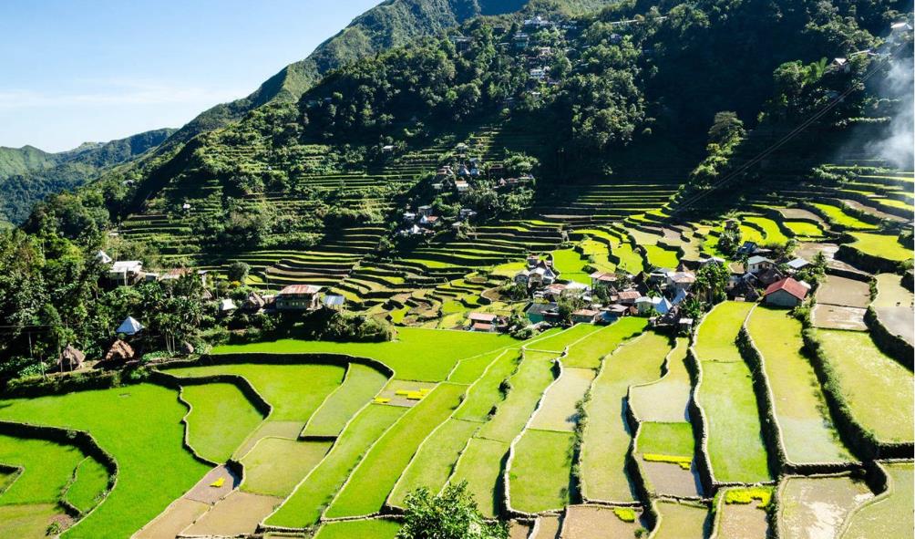 Ifugao cultural evolution