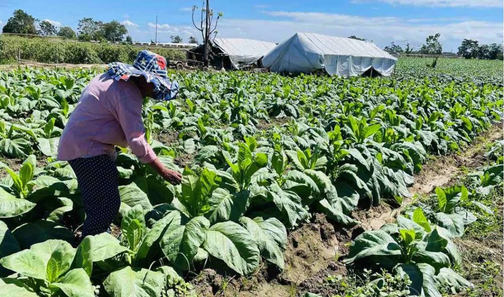 Timeline of Isabela province 