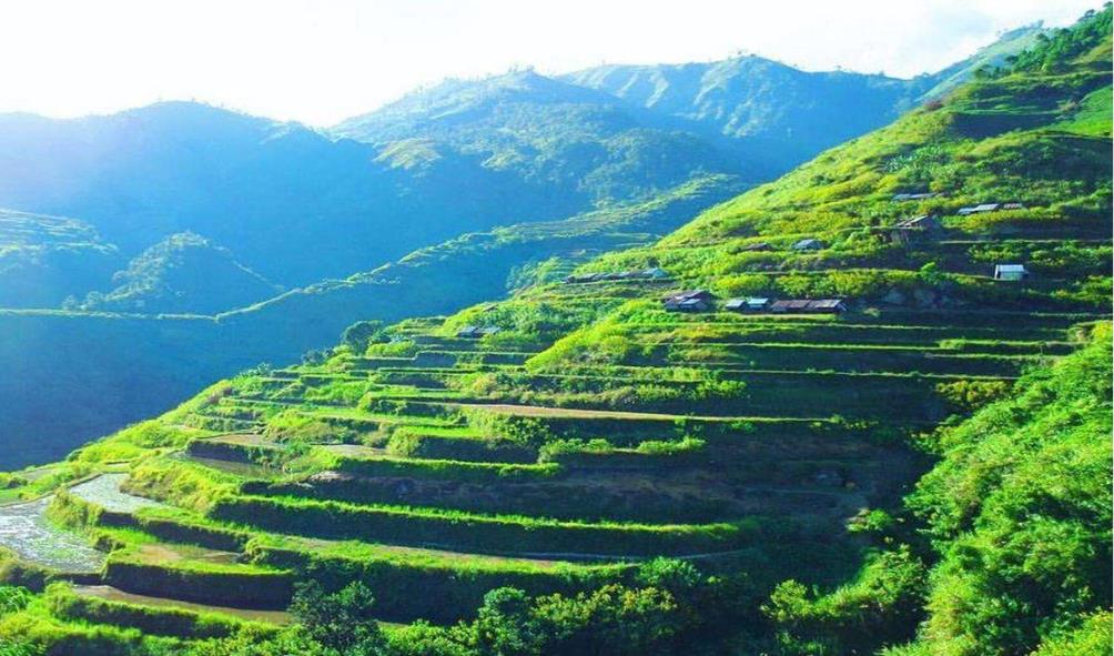 Colonial impact on Kalinga