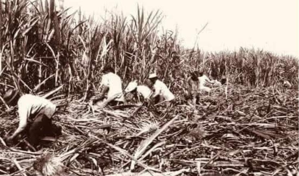 Negros Oriental historical research