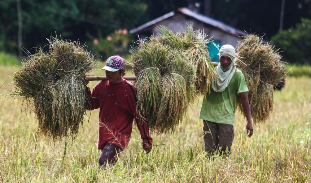 History of South Cotabato province