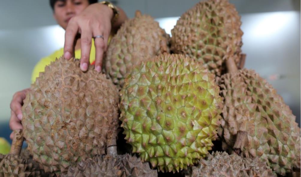 Davao City cultural history 