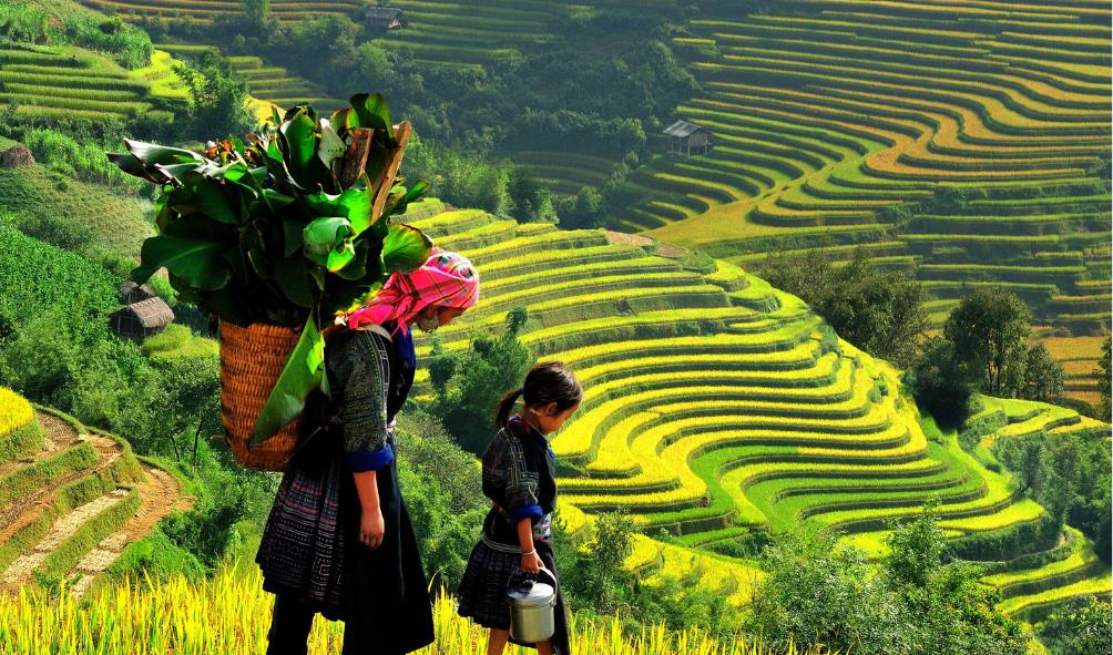 Healthy expat lifestyle 