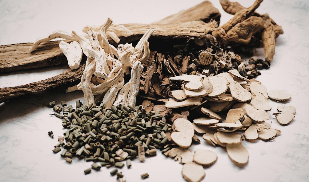 Healing herbs native to the Philippines 