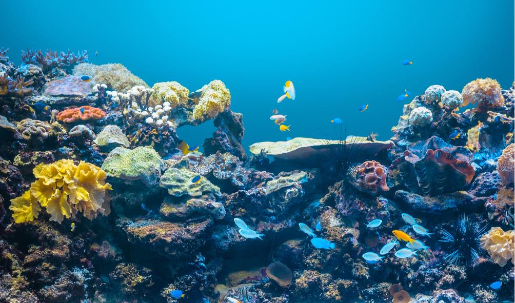 Detox health tips Philippines 