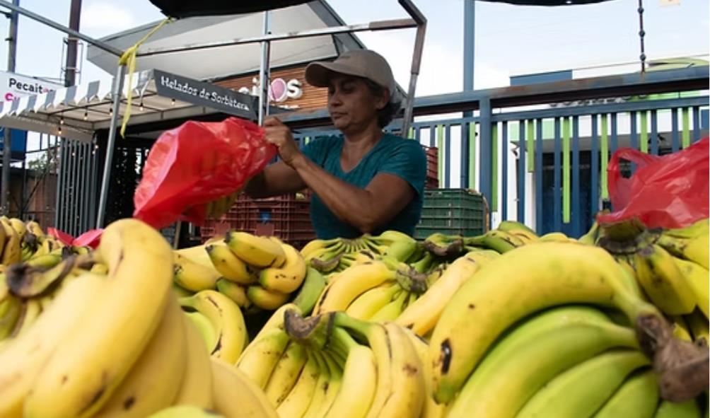 Food security Philippines 