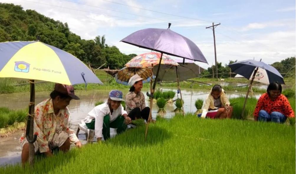 San Fernando La Union in the 20th century 