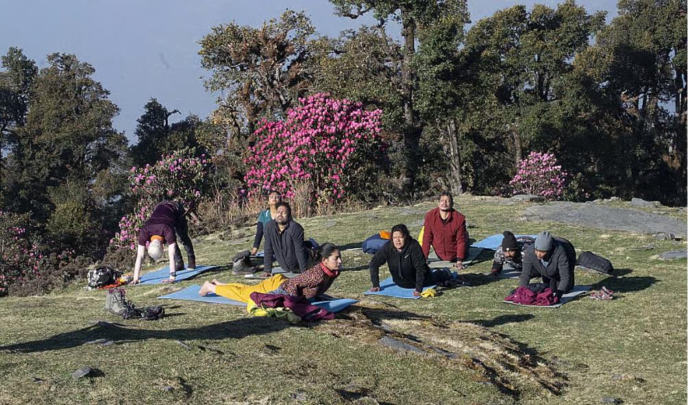 Holistic Healing Philippines 