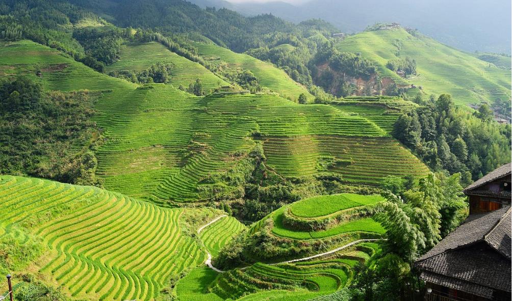 Ifugao language and dialects 