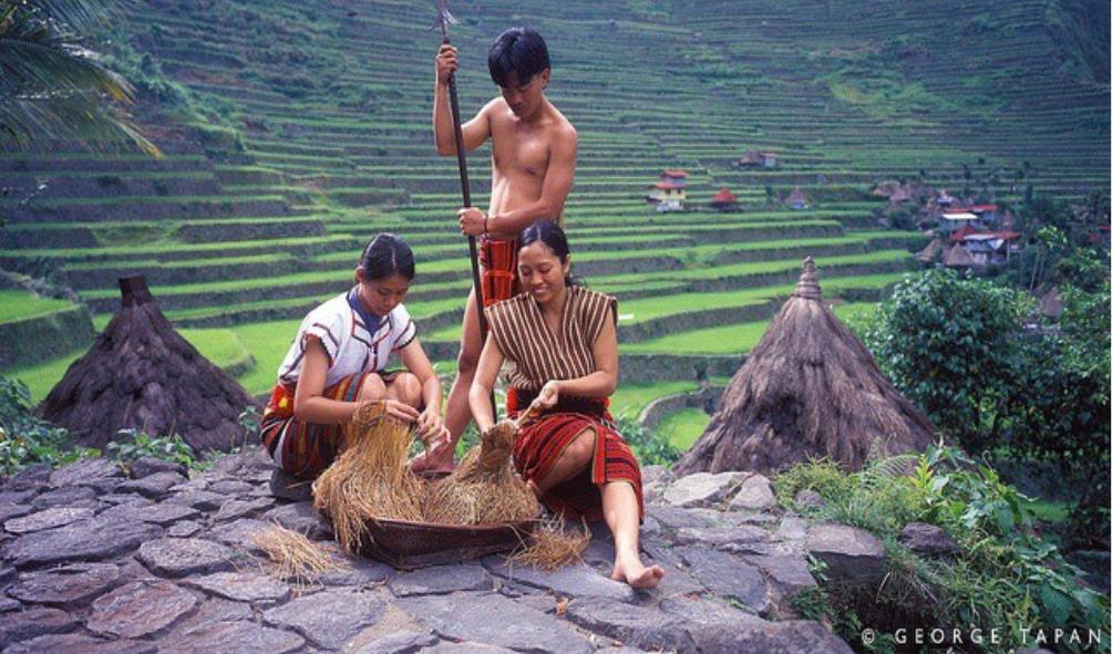 Ifugao rituals and ceremonies 