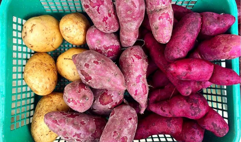 Healthy living tips Philippines 