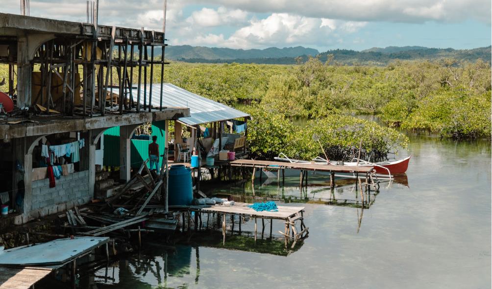 Mental Health and Nature 
