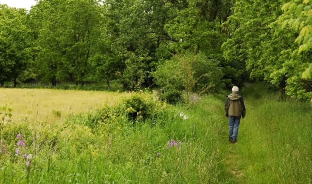 Mental Health and Nature 