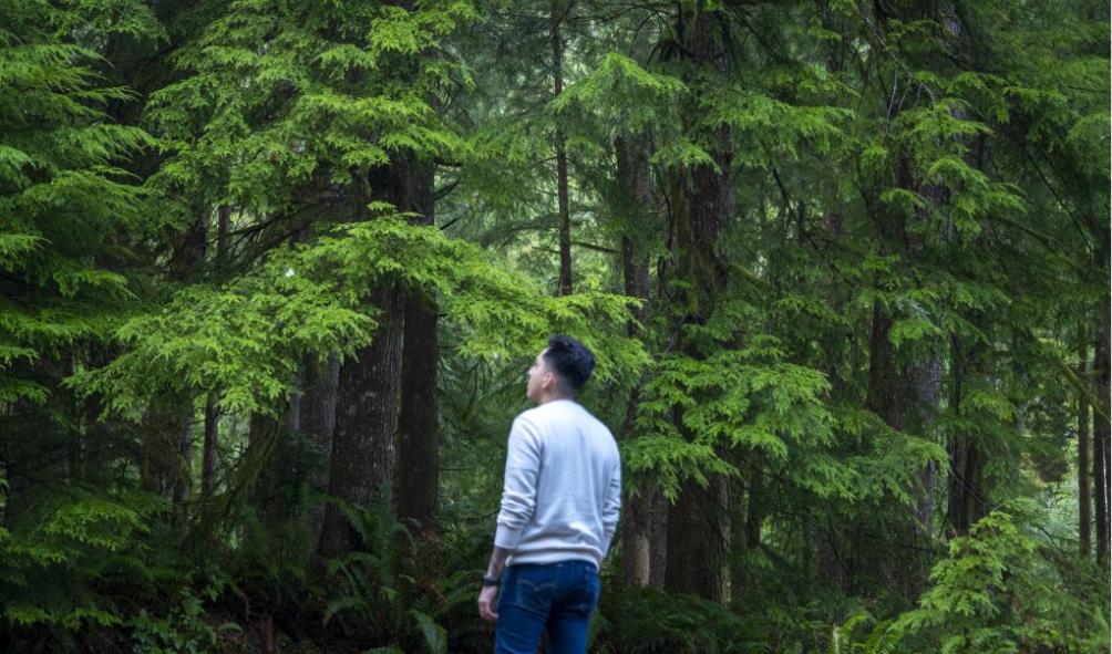 Moving to the Philippines 