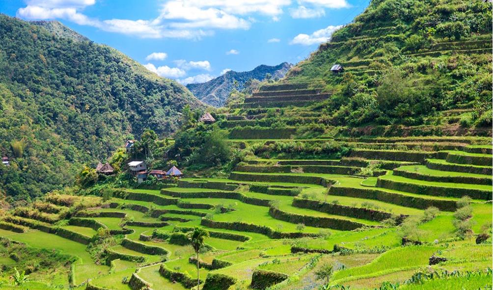 Philippines investment opportunities 