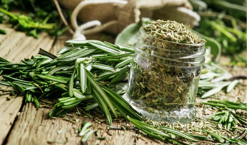 Plants for natural healing 