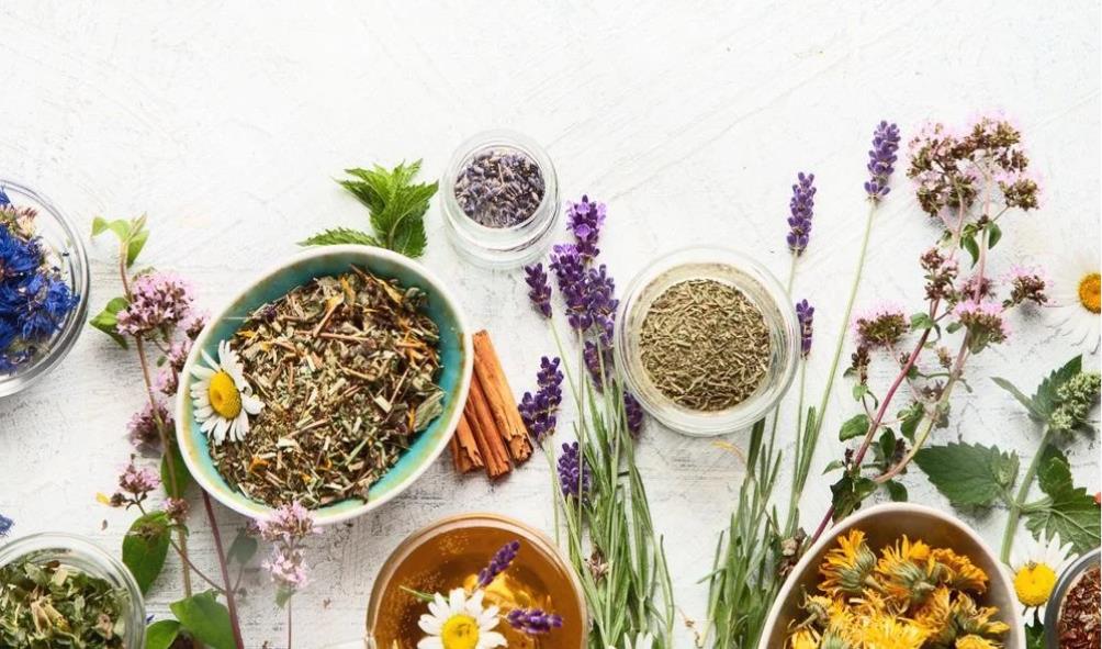 Plant-based healing traditions