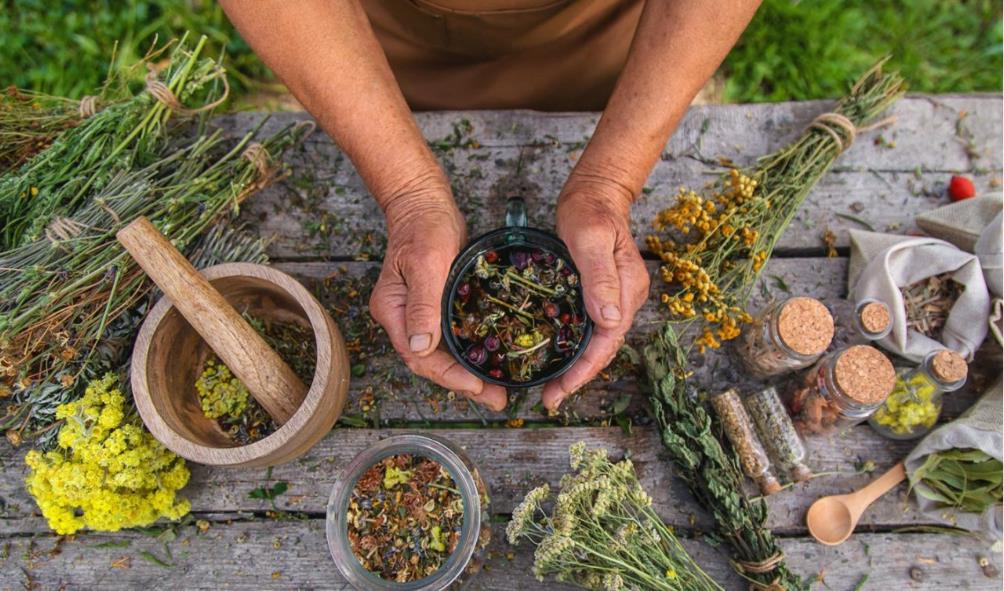 Herbal support for wellness 