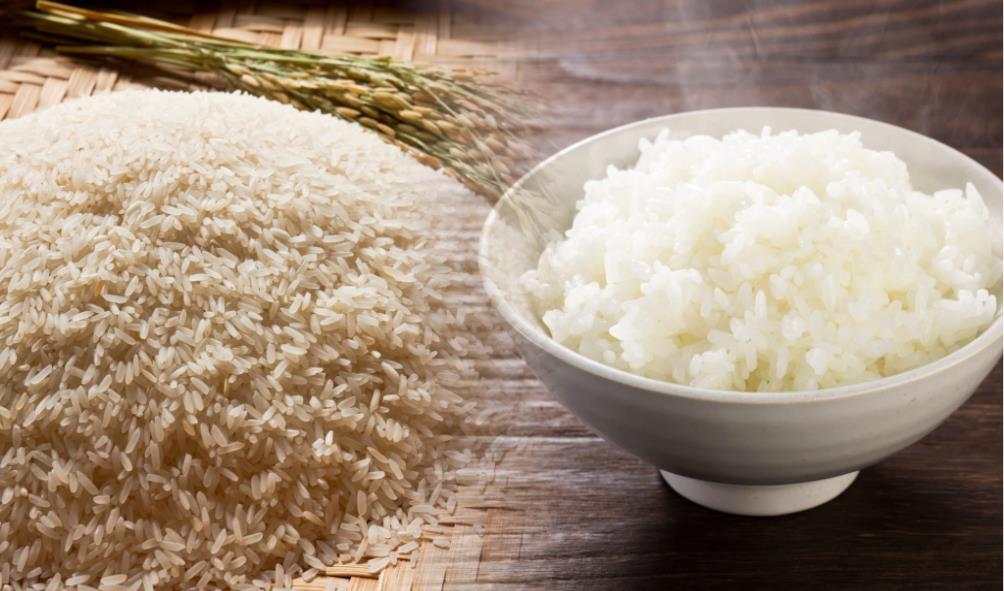 Impact of rice farming 