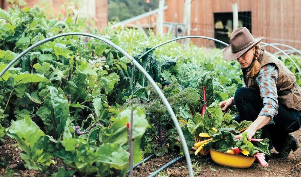 Sustainable fitness practices 