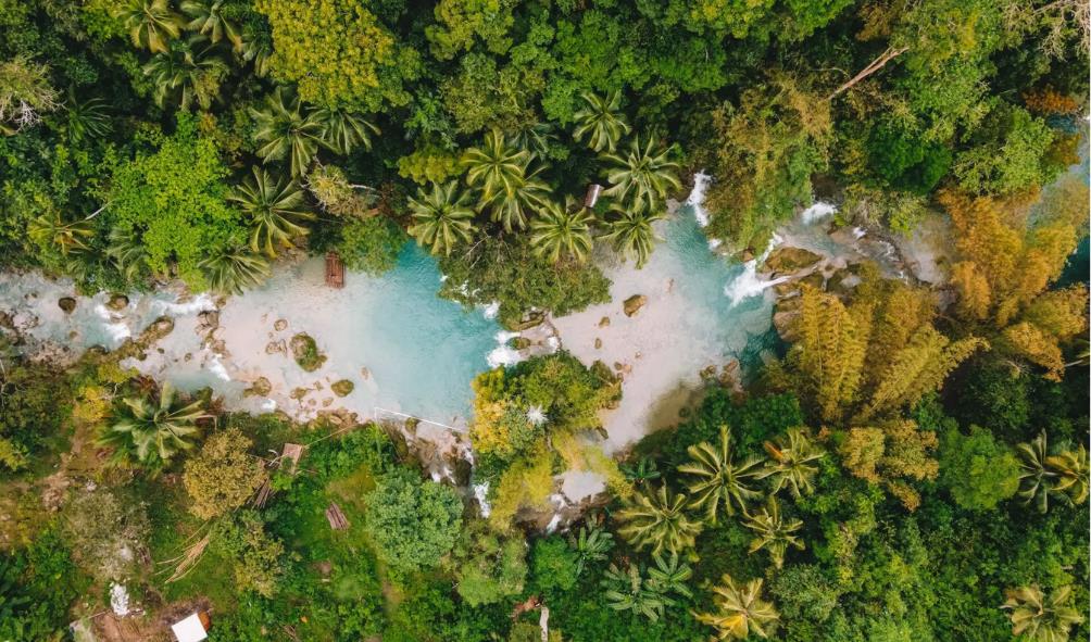 Philippine Homesteading 