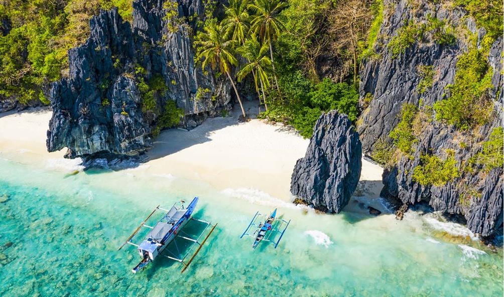 Organic Farming in the Philippines 