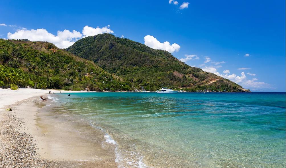 Philippine Survival Skills 