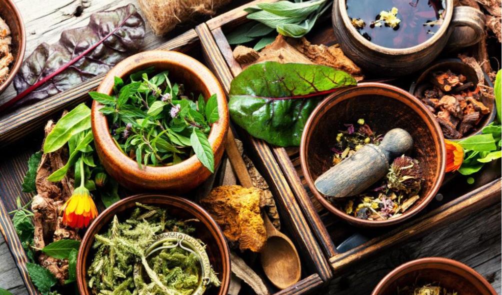 Farm-to-table Filipino cooking 