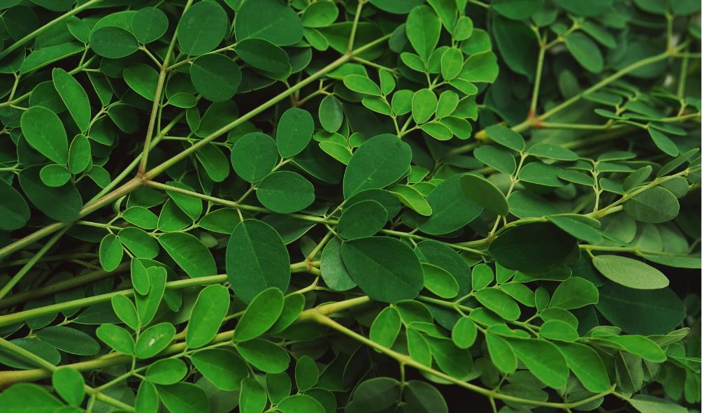 superfoods for health Philippines 