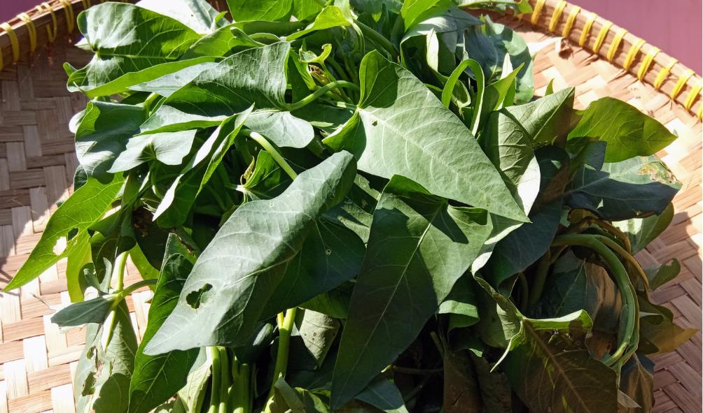 Sustainable superfoods Philippines 