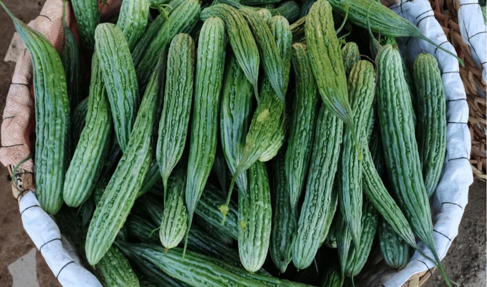 Superfoods for Filipino gardens 