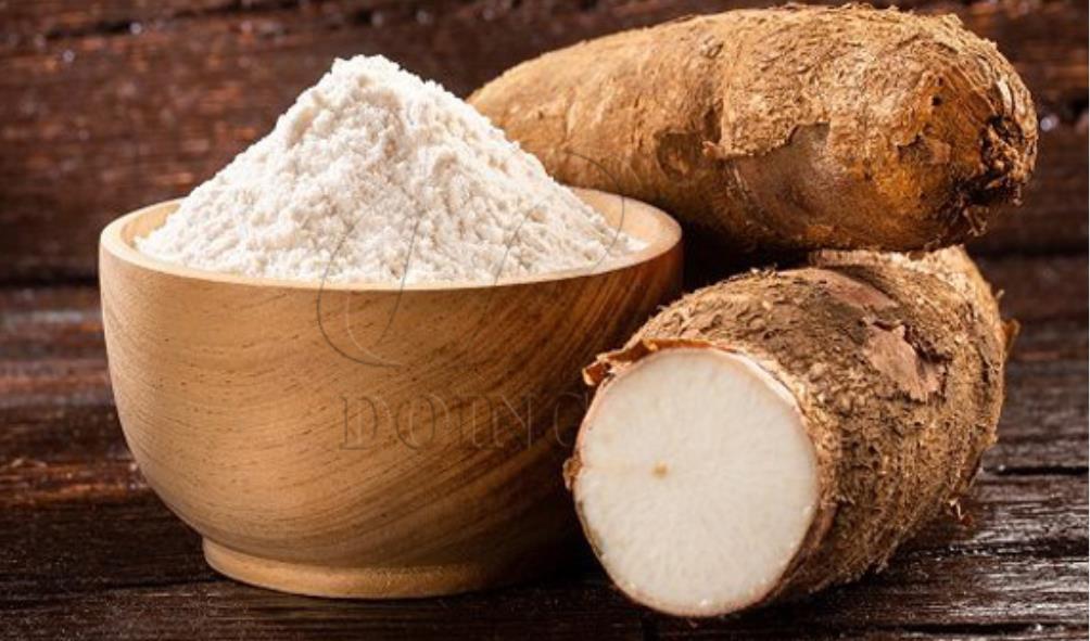 Filipino elders'' wellness advice 