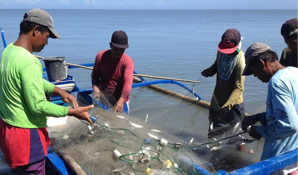 fresh fish advantages 