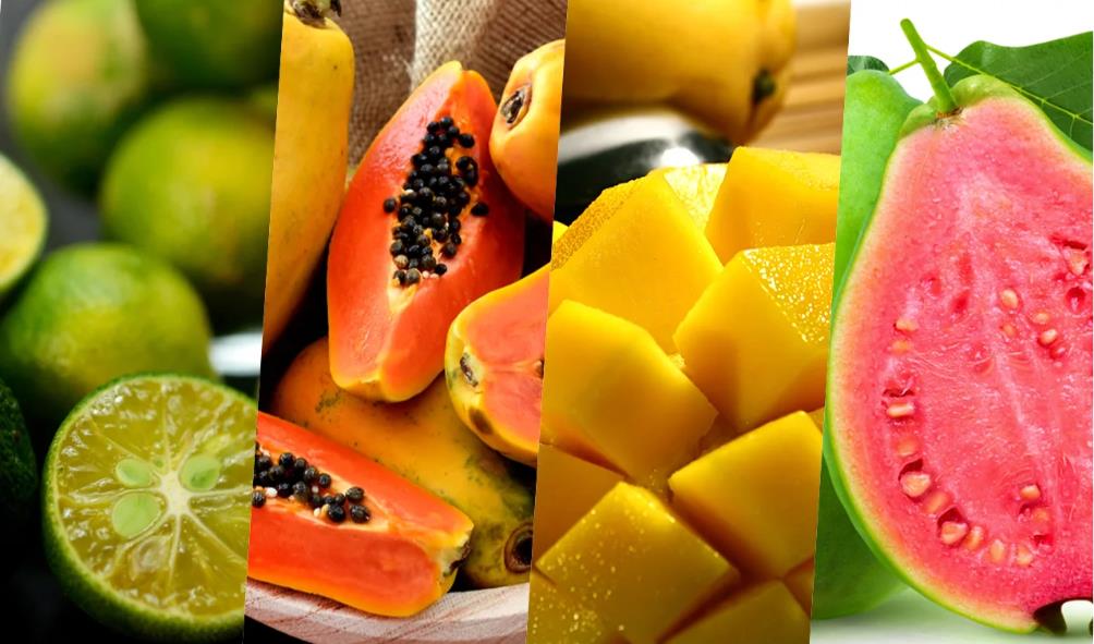 Tropical Smoothie Recipes 