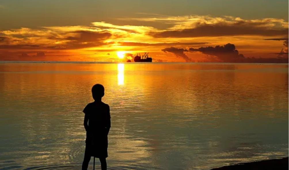 Island Nutrition for Wellness 