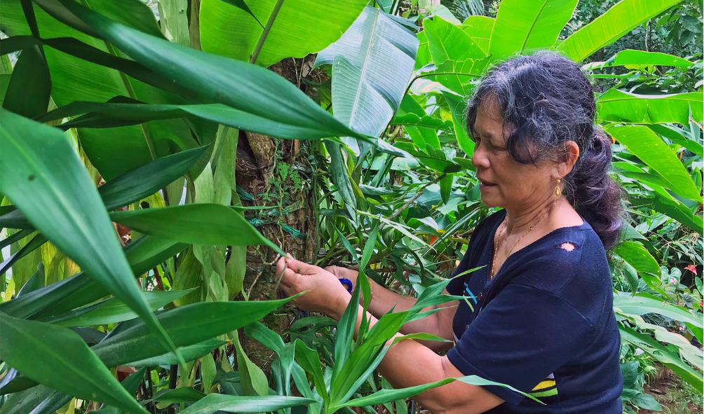 Coconut Water Immunity Benefits 