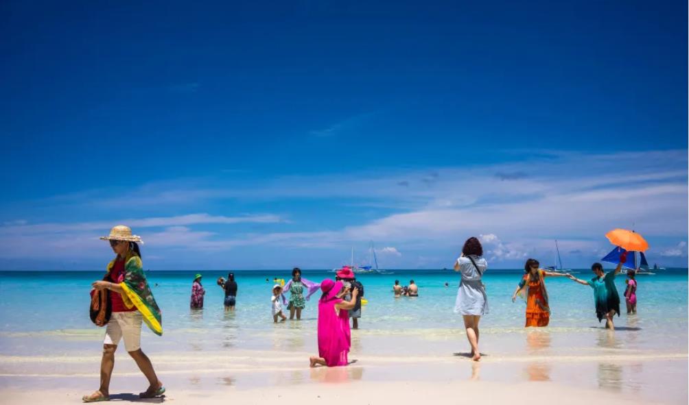 Herbs for Strong Immunity 