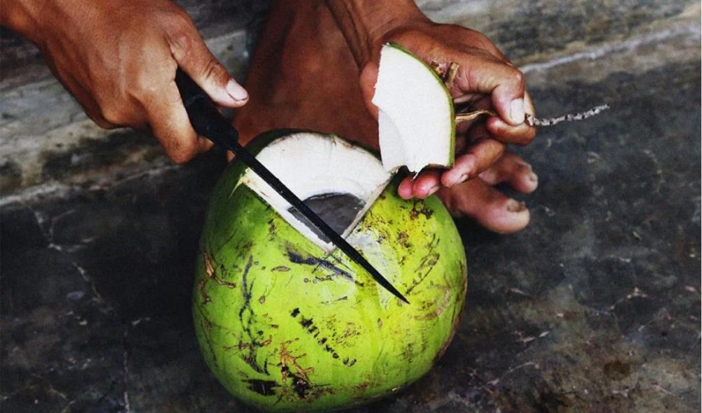 coconut culinary uses Philippines 