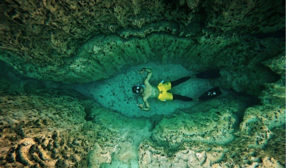 unique ocean swimming experience 