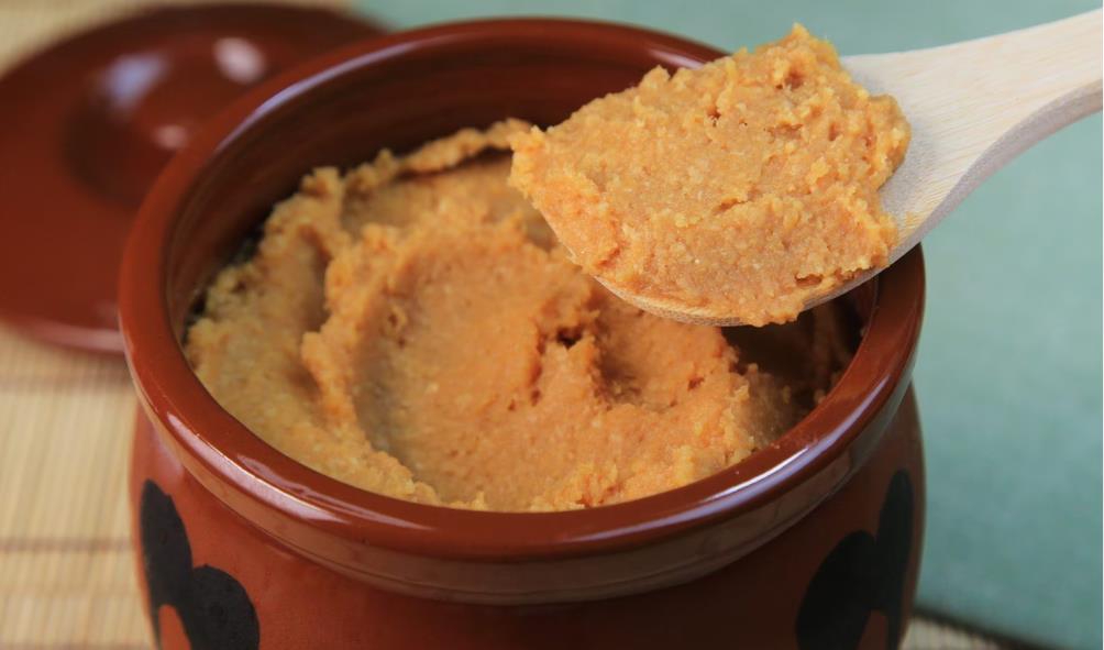 Fermented foods and gut bacteria 