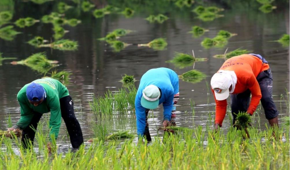 rainy season relaxation 