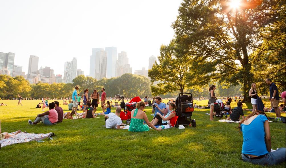 island living for mental clarity 