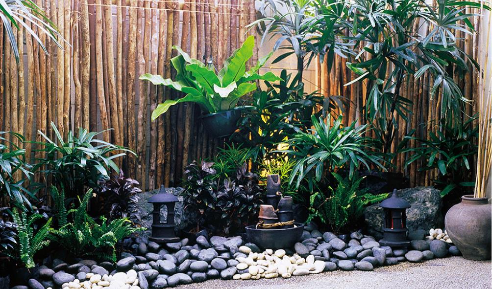 tropical climate crop rotation 