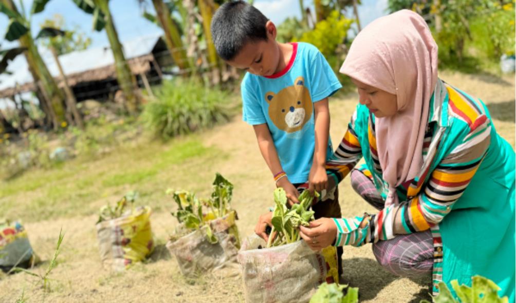 tropical vegetable gardening 