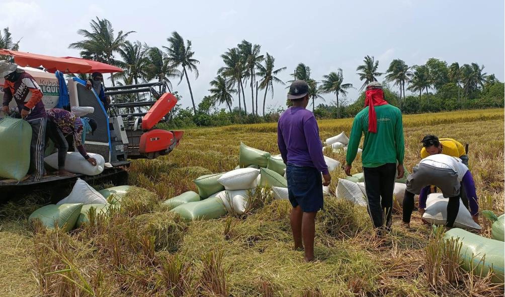grow your own food tropics 