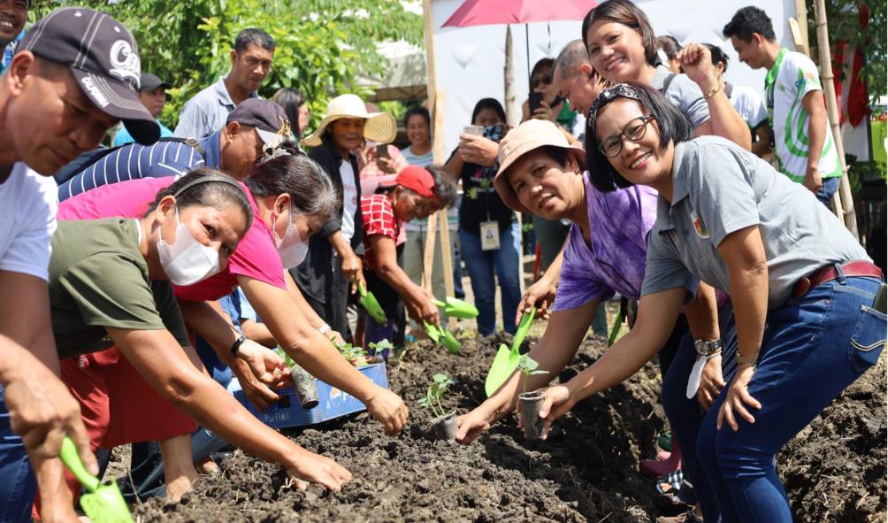 urban farming in tropics 