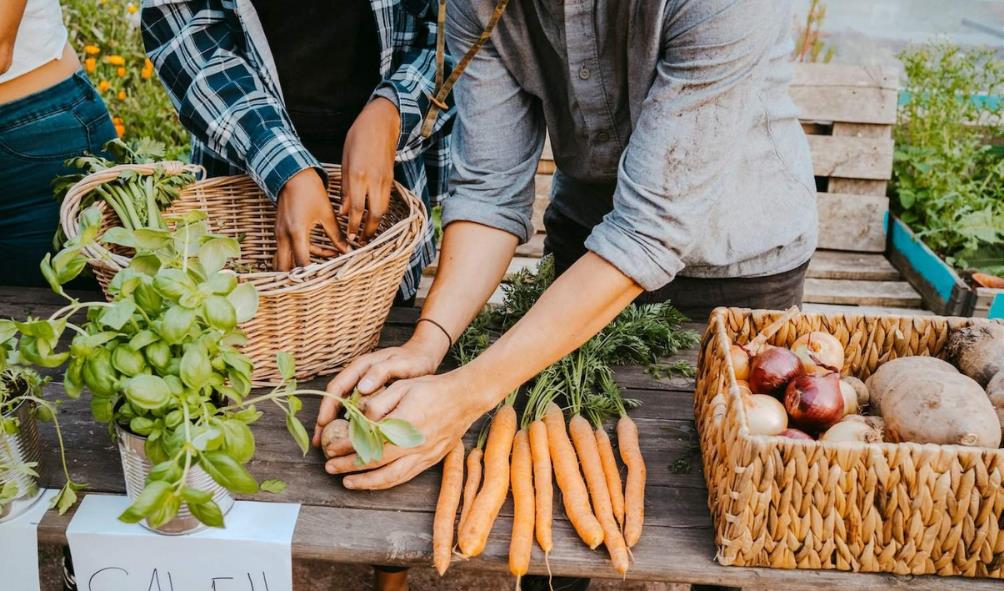 fresh diet for energy improvement 