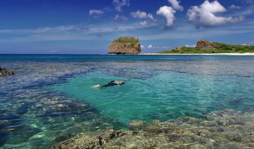 undiscovered diving spots philippines 